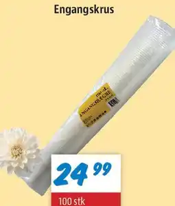 zur Krone Engangskrus tilbud