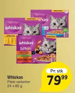 Fakta Tyskland Paw knas tilbud