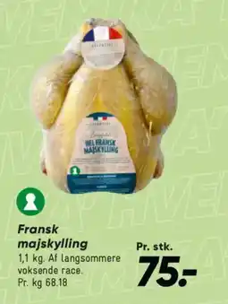 Bilka Fransk majskylling tilbud