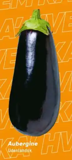 Bilka Aubergine tilbud