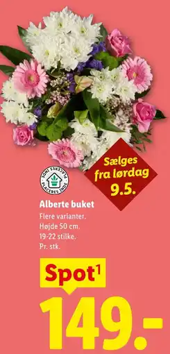Lidl Alberte buket tilbud