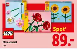 Lidl Blomstersæt tilbud
