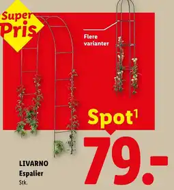 Lidl LIVARNO Espalier tilbud