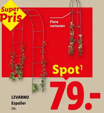 LIVARNO Espalier