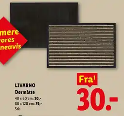 Lidl LIVARNO Dørmåtte tilbud