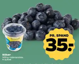 Netto Blåbær tilbud