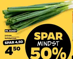 Netto Forårsløg tilbud