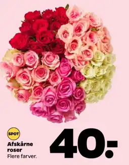 Netto Afskårne roser tilbud