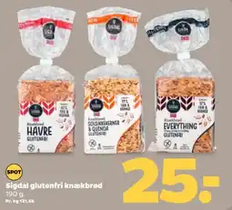 Netto SIGDAL Glutenfri knækbrød tilbud