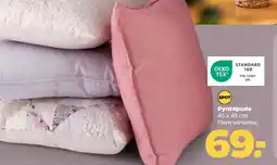 Netto Pyntepude tilbud