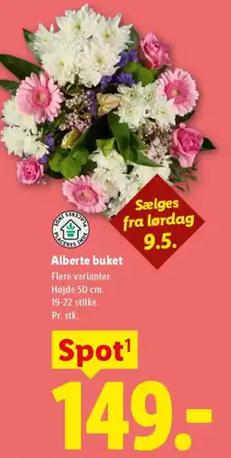 Lidl Alberte buket tilbud