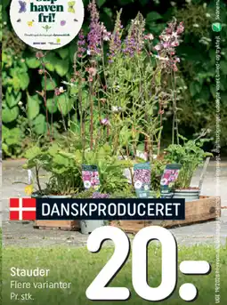 REMA 1000 Stauder tilbud