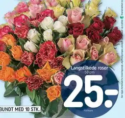 REMA 1000 Langstilkede roser tilbud