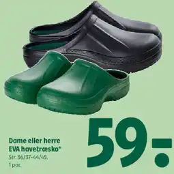 Coop 365 Dame eller herre EVA havetresko tilbud