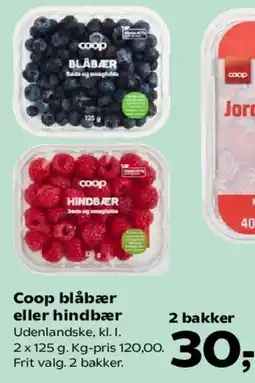 SuperBrugsen Coop blåbær eller hindbær tilbud