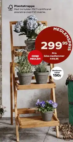 SuperBrugsen Plantetrappe tilbud