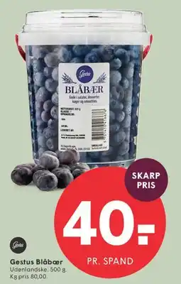 SPAR Gestus Blåbær tilbud