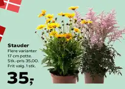 Kvickly Stauder tilbud