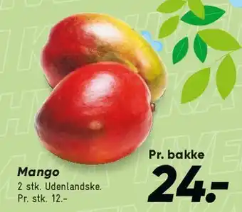 Bilka Mango tilbud