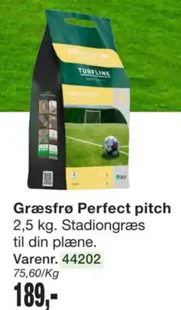 Harald Nyborg Græsfrø Perfect pitch tilbud
