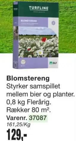 Harald Nyborg Blomstereng tilbud