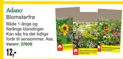 Harald Nyborg Adano Blomsterfrø tilbud