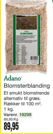 Harald Nyborg Adano Blomsterblanding tilbud
