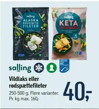 Vildlaks eller rødspættefileter