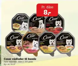 Poetzsch Padborg Cesar vådfoder til hunde tilbud