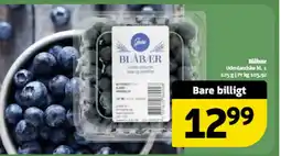 Løvbjerg Blåbær tilbud