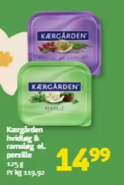 Løvbjerg Kærgården hvidløg & ramsløg el. persille tilbud