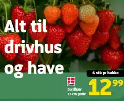 Løvbjerg Jordbær tilbud