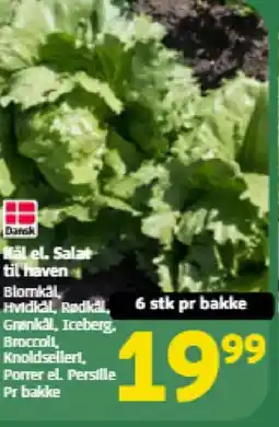 Løvbjerg Käl el. Salat tilbud
