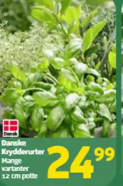 Løvbjerg Danske Krydderurter tilbud