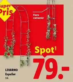 Lidl LIVARNO Espalier tilbud