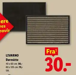 Lidl LIVARNO Dørmåtte tilbud