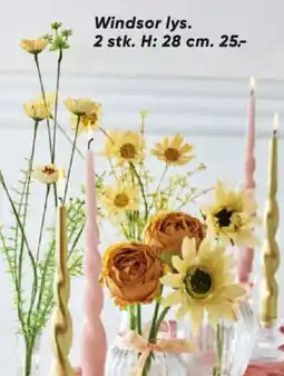 Bilka Windsor lys tilbud
