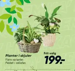 Bilka Planter i skjuler tilbud
