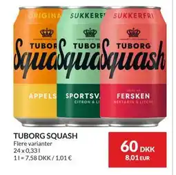 Nielsen's Discount TUBORG SQUASH tilbud