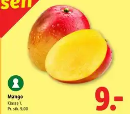 Lidl Mango tilbud