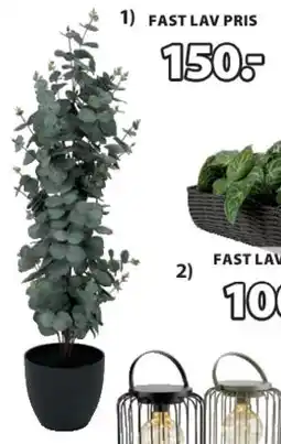 JYSK RIPA kunstig plante tilbud