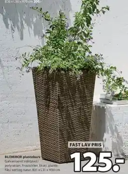 JYSK BLOMMOR plantekurv tilbud
