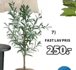 JYSK HAVHEST kunstig plante tilbud