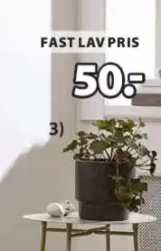 JYSK THORFINN blomsterpotte tilbud