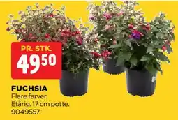 jem & fix Fuchsia tilbud