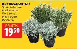 jem & fix Krydderurter tilbud