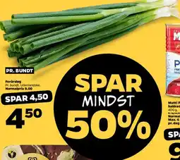 Netto Forårsløg (pr. bundt) tilbud