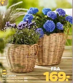 Netto Flettet kurv / kurv til planter tilbud