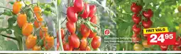 Bauhaus Økologiske tomatplanter tilbud