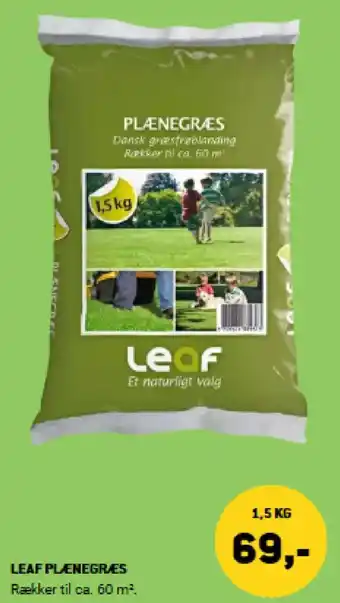 XL-BYG Leaf plænegræs tilbud